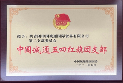 中國誠通五四紅旗團(tuán)支部